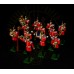 Подарочный набор - "Военный оркестр пехотного полка Великобритании".